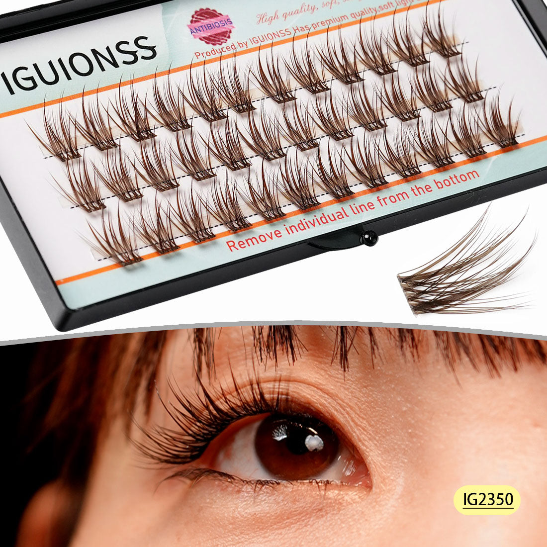 IGUIONSS IG2350 brown lash clusters in tray with model eye