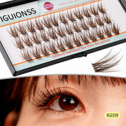 IGUIONSS IG2350 brown lash clusters in tray with model eye