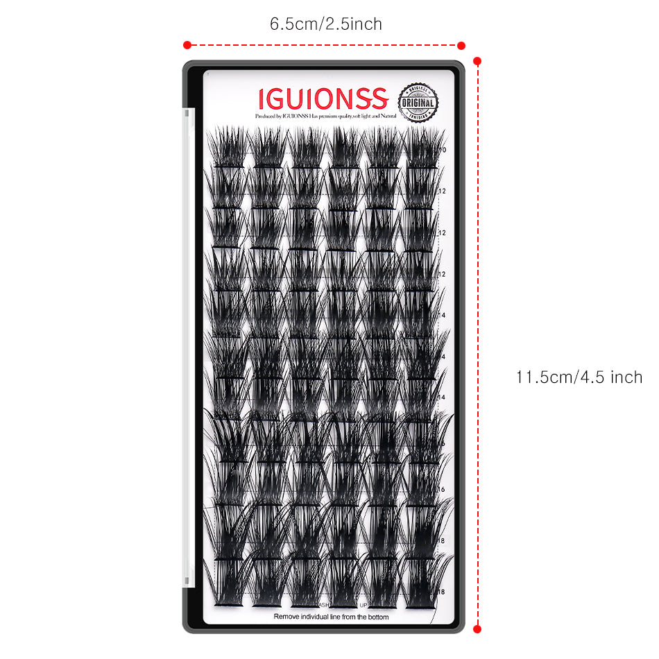 50D lash tray dimensions 6.5 by 11.5 cm